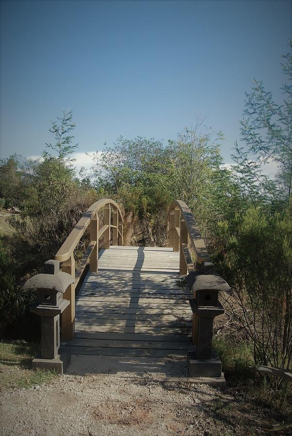 Forest Nature Spa The Crags Esterno foto